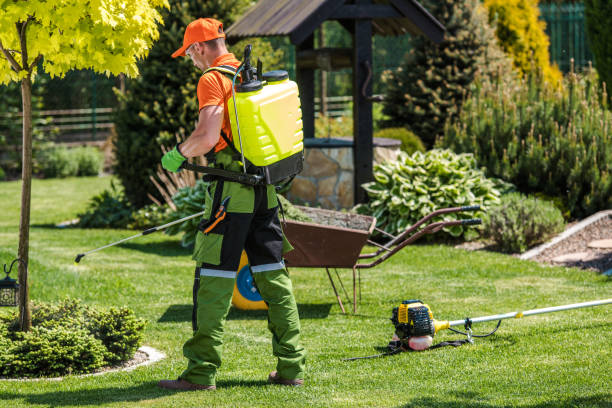 Best Lawn Pest Control  in Kingsley, MI